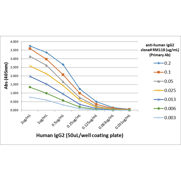 Anti-Human IgG2 Rabbit Monoclonal Antibody, Clone RM118