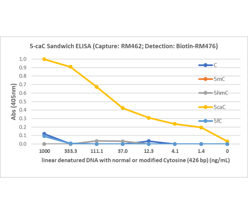 5-Carboxylcytosine (5-caC) DNA Matched Antibody Pair