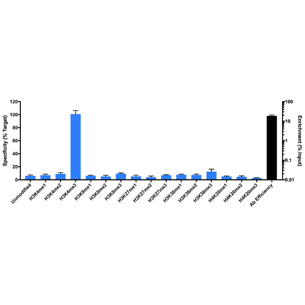 Anti-Trimethyl-Histone H3 (Lys4) Rabbit Monoclonal Antibody, Clone RM340; ChIP Validated