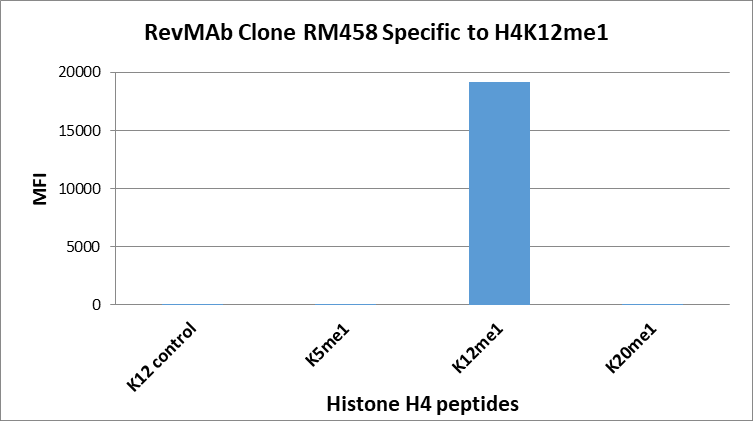 Anti-Monomethyl-Histone H4 (Lys12) Rabbit Monoclonal Antibody, Clone RM458
