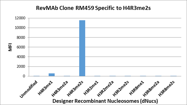 Anti-Symmetric Dimethyl-Histone H4 (Arg3) Rabbit Monoclonal Antibody, Clone RM459