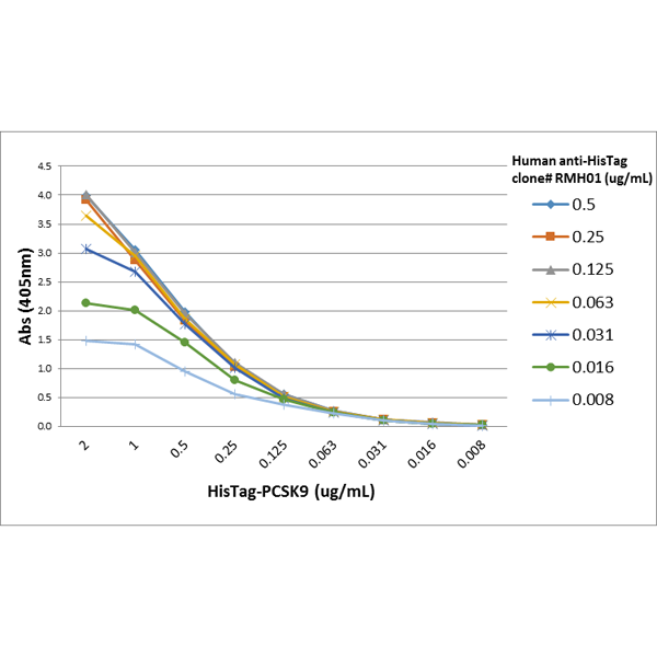 Anti-His-Tag Chimeric Human Monoclonal Antibody, Clone RMH01