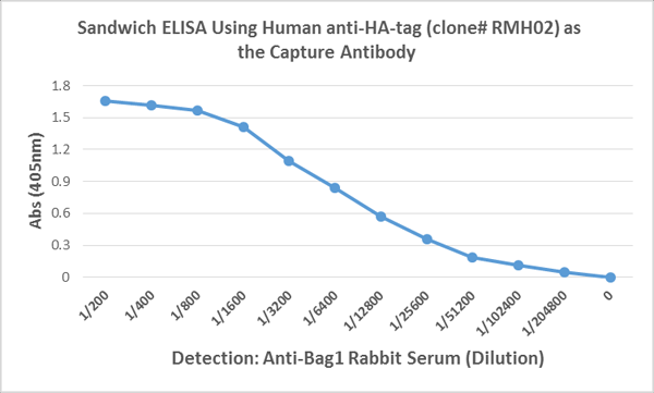 Anti-HA-Tag Chimeric Human Monoclonal Antibody, Clone RMH02