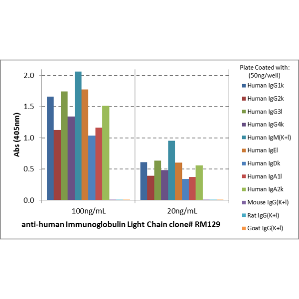 Anti-Human Ig Light Chain Rabbit Monoclonal Antibody, Clone RM129