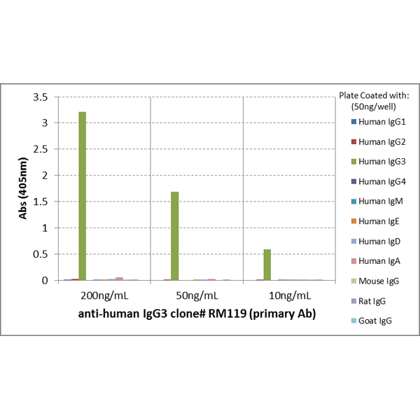 Biotin Anti-Human IgG3 Rabbit Monoclonal Antibody, Clone RM119
