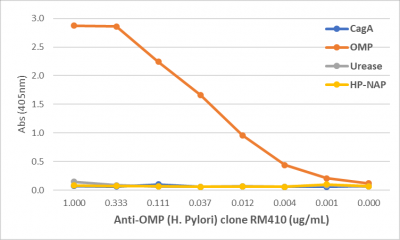Anti-OMP (Helicobacter Pylori) Rabbit Monoclonal Antibody, Clone RM410