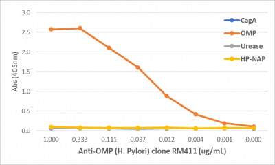Anti-OMP (Helicobacter Pylori) Rabbit Monoclonal Antibody, Clone RM411