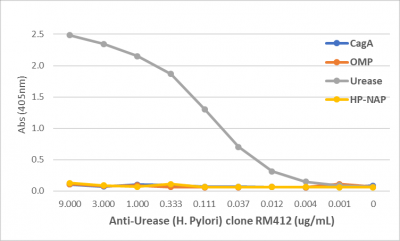 Anti-Urease (Helicobacter Pylori) Rabbit Monoclonal Antibody, Clone RM412