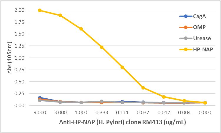Anti-HP-NAP (Helicobacter Pylori) Rabbit Monoclonal Antibody, Clone RM413