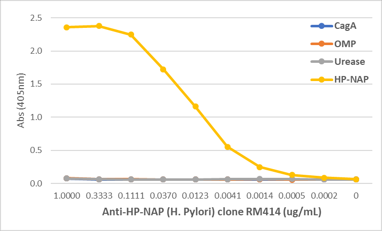 Anti-HP-NAP (Helicobacter Pylori) Rabbit Monoclonal Antibody, Clone RM414