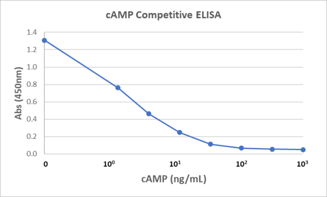 Anti-cAMP Rabbit Monoclonal Antibody, Clone RM466